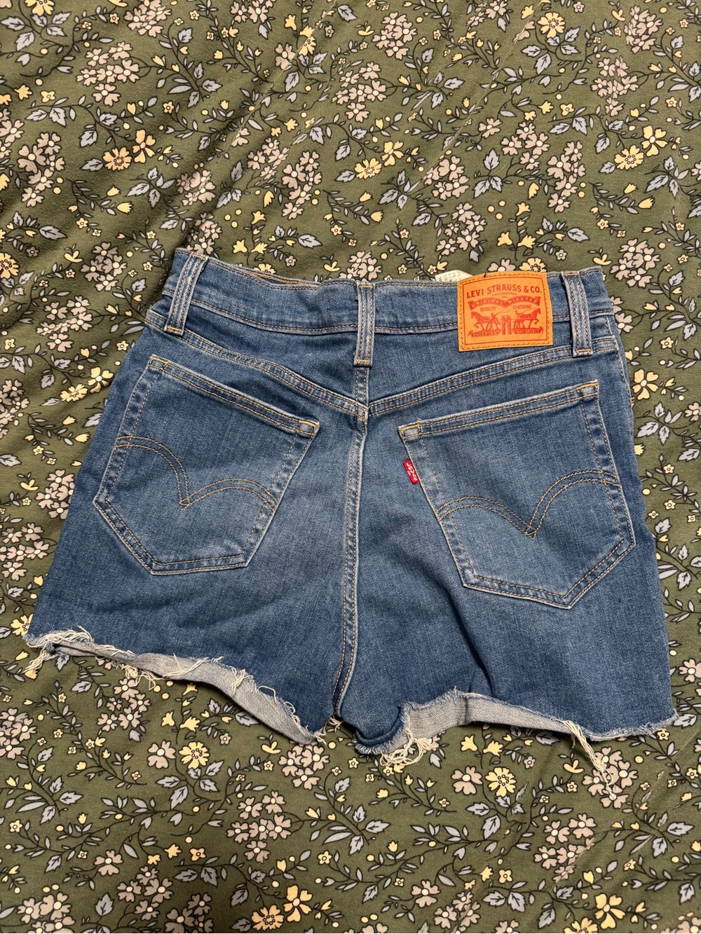 Levi's Blue Denim Cutoff Shorts with Frayed Hem
